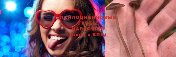 синтетический гашиш Карпинск